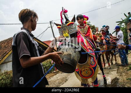 Un manutentionnaire alimente en eau le 'Dancing Horse' également connu sous le nom de 'Renggong Horse' pendant la procession à Tanjungsari. Le cheval dansant aussi connu sous le nom de 'Kuda Renggong' est l'un des arts de la scène et de la culture folkloriques de Sumedang. Le mot 'rnggong' vient du mot ('ronggeng' ou 'kamonesan' dans la langue locale du Sundanais) qui signifie compétence. Le cheval a été formé avec des compétences pour danser à la musique d'accompagnement, en particulier la batterie, qui est habituellement utilisé comme une promenade médiatique dans la procession des enfants circoncision. Banque D'Images