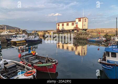 Des bateaux de pêche et une maison de sauvetage dans le port de St Abbs, un petit village de pêcheurs près de Coldingham dans le Berwickshire, en Écosse Banque D'Images