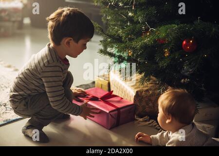 Deux garçons ramassant des cadeaux de noël sous l'arbre de Noël. Cadeaux de Noël placés à côté d'un arbre de Noël avec deux enfants. Banque D'Images