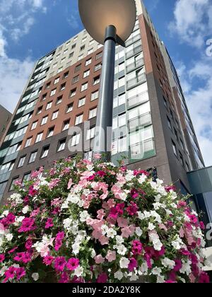 jardin petunia (Petunia x hybrida, Petunia-Hybride), pot de fleurs à une lanterne devant un bâtiment à plusieurs étages, Allemagne Banque D'Images