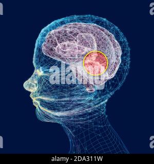 Neurologie, philosophie : connexions, développement de la pensée et de la réflexion, possibilités infinies du cerveau et de l'esprit. Anatomie humaine Banque D'Images