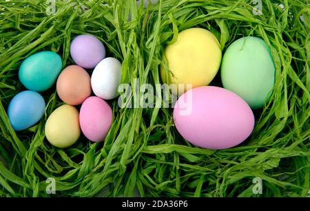 Oeufs colorés de Pâques dans le nid vert Banque D'Images