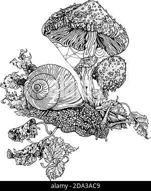 Escargot et mouche agaric. Illustration détaillée du stylo à encre dessiné à la main. Imprimé t-shirt, motif tatouage style travail de la dentine. Champignon Amanita muscaria toxique Illustration de Vecteur