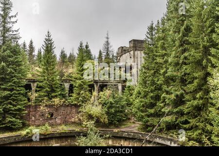 La tour minière et l'usine de traitement de l'étain Rolava-Sauersac apparaissent à travers forêt dense Banque D'Images