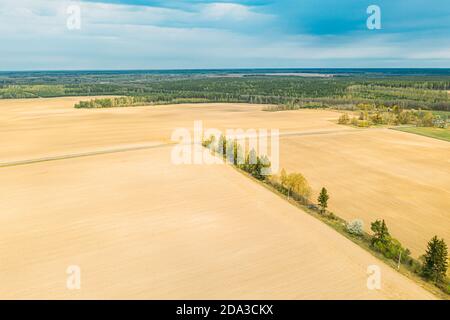 Vue aérienne en haut du paysage agricole avec arbres dans le champ de printemps. Magnifique paysage rural avec vue panoramique. Champ de printemps avec sol vide Banque D'Images