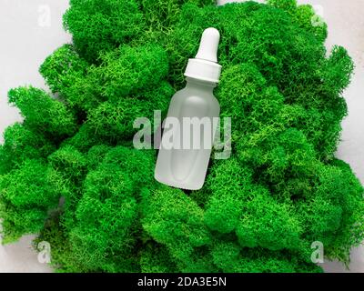 Sérum liquide pour le visage en bouteille mate sur mousse verte. Cosmétique naturelle biologique Banque D'Images