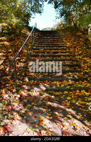 gros plan de feuilles de couleur automnale sur des marches en bois à l'extérieur sous le soleil. Rouge, orange, jaune feuilles dorées Banque D'Images