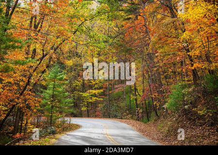 Feuillage d'automne près de Helen, Géorgie, États-Unis. Banque D'Images