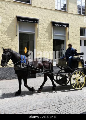 BRUGES, BELGIQUE - 10 mai 2019 : Belgique, Bruges, 10 2019 mai 50 h, scène de rue, UN cheval brun foncé tire une calèche jaune ouverte. Vue partielle Banque D'Images