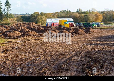 Site de construction HS2 Crackley Woods, Kenilworth, Warwickshire, Angleterre, Royaume-Uni, novembre 2020 zone de replantation de l'écosystème forestier Banque D'Images