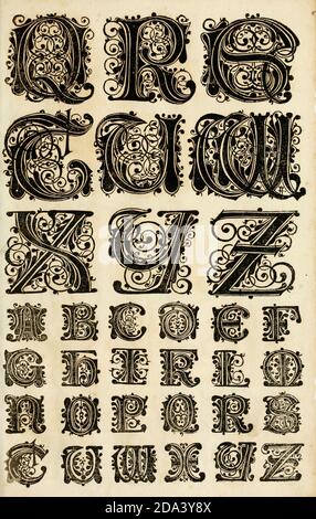 Lettre et ornements de 1655, Calligraphie, design, encre, pinceau, écriture Banque D'Images