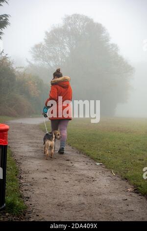 Femme marchant son chien dans la brume tôt le matin Banque D'Images