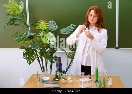 Femme enseignante écologiste se tient avec de la poudre blanche dans et un mortier dans la main. Formation en écologie dans la classe scolaire. Banque D'Images