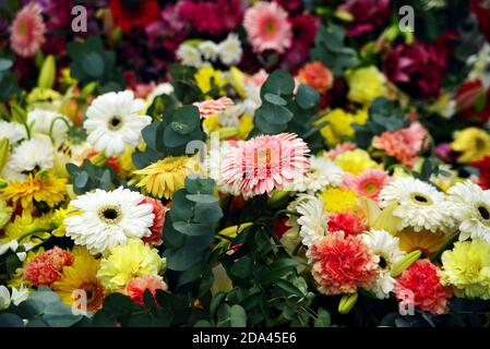 Image abstraite de l'arrière-plan des fleurs d'été Banque D'Images