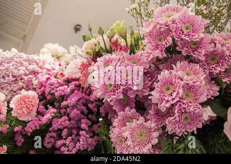 Flou de mise au point. Beau chrysanthème rose à décoré pour célébrer l'anniversaire à l'intérieur du grand magasin et shopping. Banque D'Images