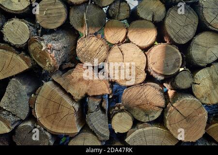 Pile de bois de journal Banque D'Images