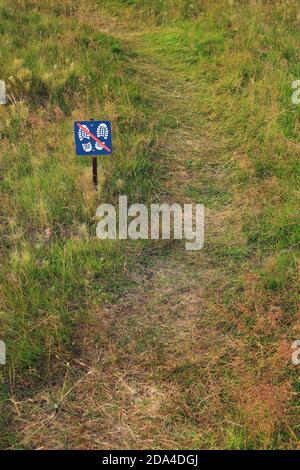 La vallée du parc national de Thingvellir près du lac Thingvallavatn se trouve dans une vallée de rift qui marque la crête de la dorsale médio-atlantique, au sud-ouest de l'Islande Banque D'Images