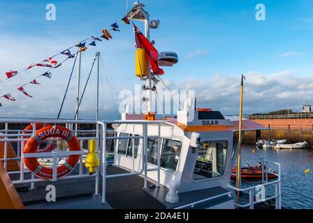 Sula III, nouveau bateau touristique amarré dans le port de Berwick Nord par une journée ensoleillée au ciel bleu, Lothian est, Écosse, Royaume-Uni Banque D'Images