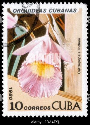 Saint-Pétersbourg, Russie - 18 septembre 2020 : timbre imprimé à Cuba avec l'image de Cattleyopsis lindenii, vers 1980 Banque D'Images