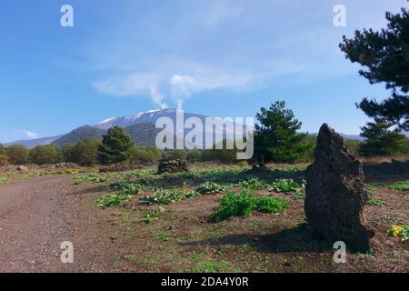 Colonnes de fumée sortant des cratères du sommet de l'Etna Volcan point de repère de la nature en Sicile et le tourisme de plein air Banque D'Images