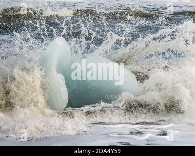 Iceberg flottant dans l'océan, Diamond Beach, Hornafjorour, région de l'est, Islande Banque D'Images