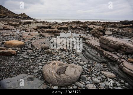 Millook Haven présente le meilleur exemple de failles à chevron dans les îles britanniques. Banque D'Images
