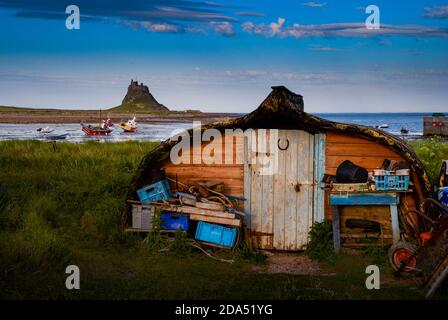 Château de Lindisfarne sur l'île Sainte, Northumberland, Angleterre, vu du port où les vieux bateaux de hareng sont utilisés comme hangars de pêcheurs. Banque D'Images