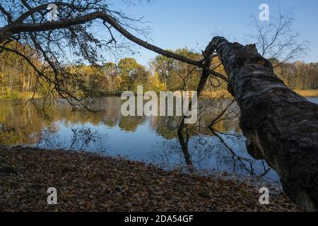 L'automne arbres se reflétant dans l'eau Banque D'Images