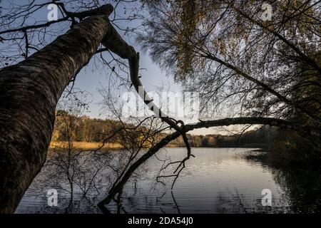 L'automne arbres se reflétant dans l'eau Banque D'Images