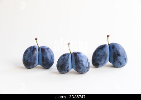 Bleu biologique laid prunes double coeur en forme de coeur sur un fond blanc. La mauvaise tendance des produits est la vente de produits imparfaits. Banque D'Images