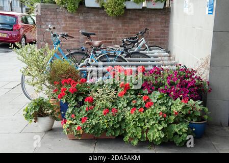 Plantes incluant le pélargonium rouge devant les porte-vélos Arsenal Station Highbury London Borough of Islington Banque D'Images