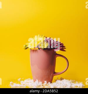 gerbera jaune et rose fleurit dans une tasse rose un arrière-plan jaune Banque D'Images