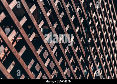 Une vue en perspective d'une clôture en bois treillis battens à l'extérieur d'une maison d'été véranda par jour ensoleillé, avec une faible profondeur de champ et sélectif FO Banque D'Images