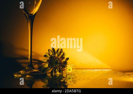 verre de champagne aux fleurs jaunes Banque D'Images