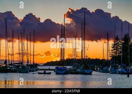 Homme bateau à ramer au coucher du soleil, Eagle Harbour, West Vancouver, Colombie-Britannique, Canada Banque D'Images