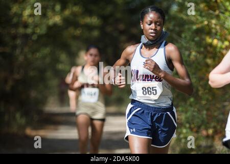 Huntsville, Texas, États-Unis. 9 novembre 2020. Ja'asie Sims de l'école secondaire Manvel participe aux championnats de cross-country de la région III classe 5A de la Ligue interscolaire de l'Université du Texas (UIL) au parc commémoratif Kate Barr Ross à Huntsville, Texas. Prentice C. James/CSM/Alamy Live News Banque D'Images