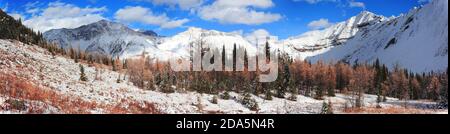 Panoramas des Kananaskis Banque D'Images