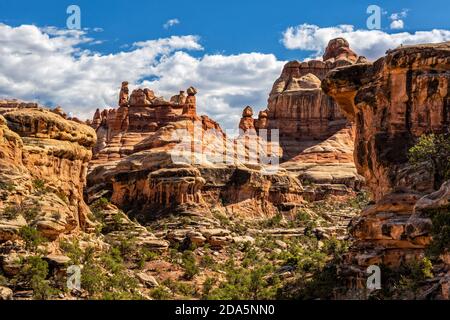 Des flèches et des rochers bordent le magnifique Elephant Canyon dans le quartier des aiguilles du parc national de Canyonlands, Utah. Banque D'Images