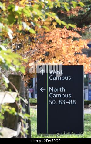 Grand panneau noir indiquant les directions vers les bâtiments sur le campus du siège social de Microsoft Redwest à Redmond, Washington, États-Unis. Pris en automne. Banque D'Images