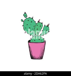 Ligne de mise en plan continue. Cactus maison dans un pot. Illustration isolée sur fond blanc Illustration de Vecteur