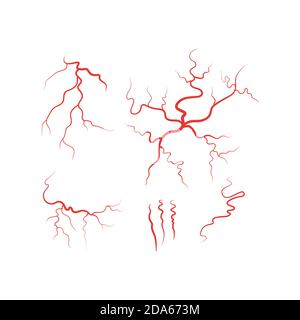 Vecteur de l'ensemble de vaisseaux sanguins rouges des veines humaines Illustration de Vecteur
