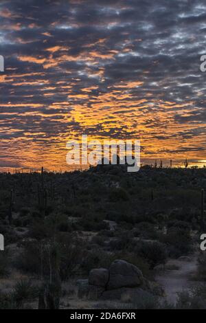 Un superbe lever de soleil dans le désert de l'Arizona à Scottsdale Banque D'Images