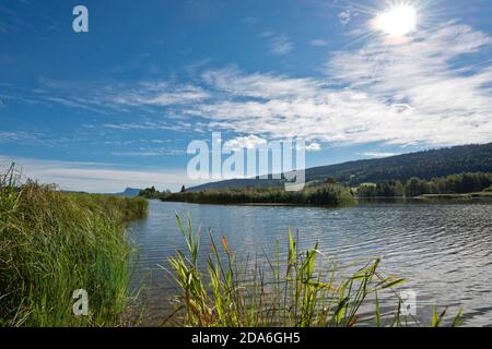 Suisse, Vaud, Waadt, Vallée de Joux, Parc Jura vaudois, Lac de Joux, See, Lac, tête du Lac Banque D'Images