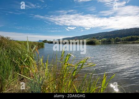 Suisse, Vaud, Waadt, Vallée de Joux, Parc Jura vaudois, Lac de Joux, See, Lac, tête du Lac Banque D'Images