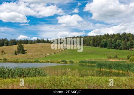 Suisse, Vaud, Waadt, Vallée de Joux, Parc Jura vaudois, Lac Ter, See, Lac Banque D'Images