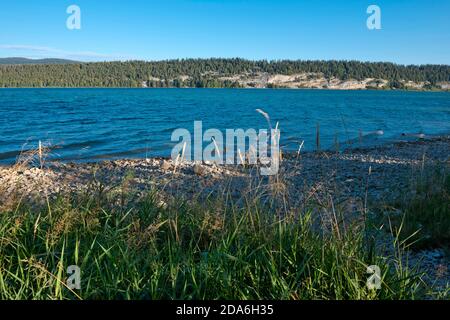 Suisse, Vaud, Waadt, Vallée de Joux, Parc Jura vaudois, Lac de Joux Banque D'Images