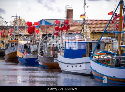 Freest, Allemagne. 05ème novembre 2020. Les coupeurs de pêche sont amarrés dans le port de pêche. Credit: Jens Büttner/dpa-Zentralbild/ZB/dpa/Alay Live News Banque D'Images