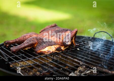 Poulet traditionnel au barbecue spatchcoké et mattone sur le grill au charbon de bois. Griller et fumer du poulet à la craque en plein air sur du bois de chauffage barbecue grill en natu Banque D'Images