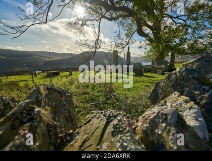 La lumière joue sur un vieux frêne dans St. Mary's Kirkyard par St.Mary's Loch.Créer une présélection Woodland Trust Tree de l'année 2021. Banque D'Images