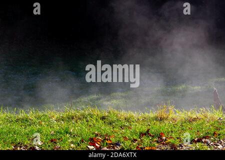 Brume s'élevant de l'herbe sous le soleil du matin Banque D'Images